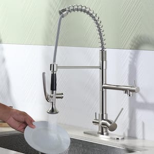 Double Handle Pull-Down Sprayer Kitchen Faucet High Arc with Drinking Water and Deck Plate in Brushed Nickel
