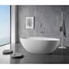 VANITYFUS 65 in. Stone Resin Flatbottom Solid Surface Freestanding