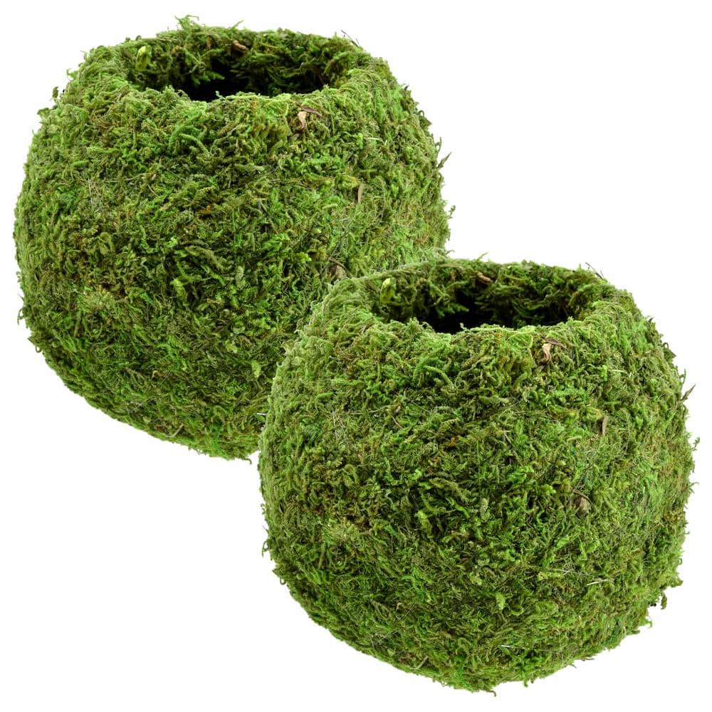 5 Green Moss Ball [KC1056] 
