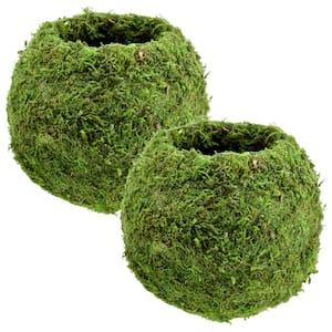 Kokedama 6-1/2 in. x 5-3/4 in. Metal Sphere Moss Ball Planter (2-Pack)