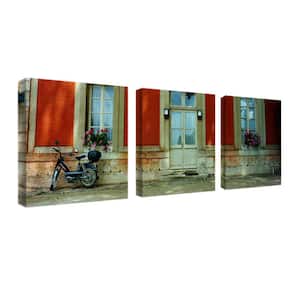 3 Panel Art Set Scooter in Versailles by Preston Print Hidden Frame 14 in. x 42 in.