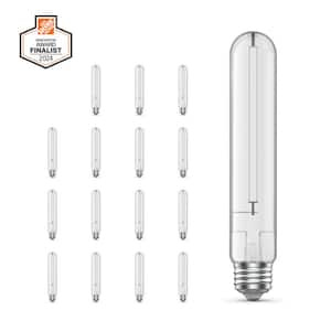 (未使用･未開封品)　クリア電球LC100V60W55/1P LC100V60W55/1P df5ndr3 Feit Electric 60-Watt Equivalent T10L Dimmable Straight