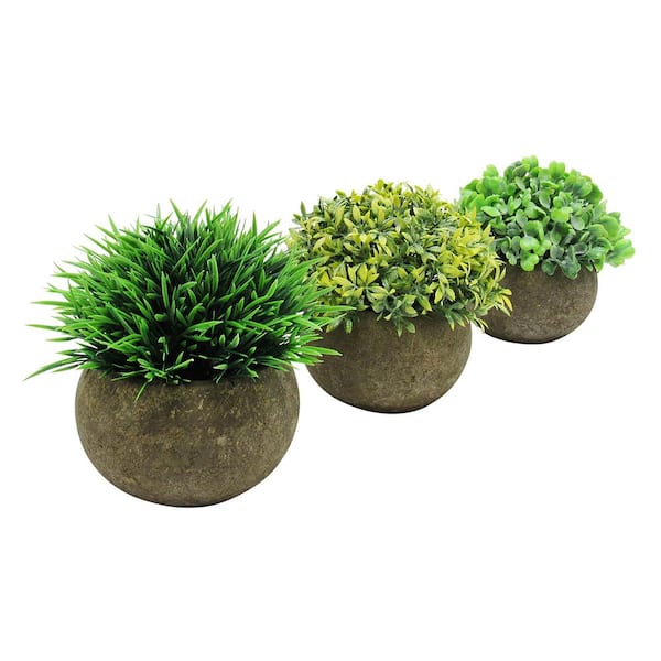4.5 in. Frosted Green Artificial Boxwood Grass Leaf Succulent Mix Small Plant Topiary in Pot (Set of 3)