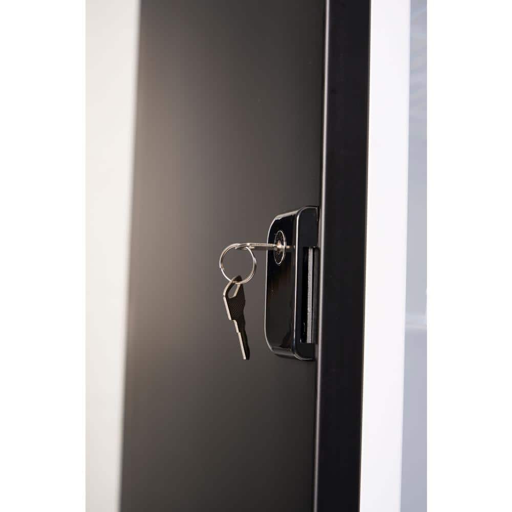 Black 10.0 Cu. Ft. Single Door Display Refrigerator with Glass Door