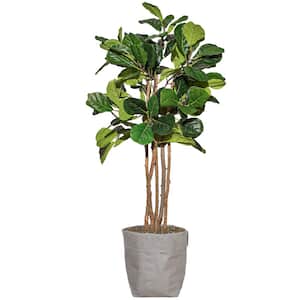 61 in. Artificial Fig Tree with Stylish Fiberstone Planter