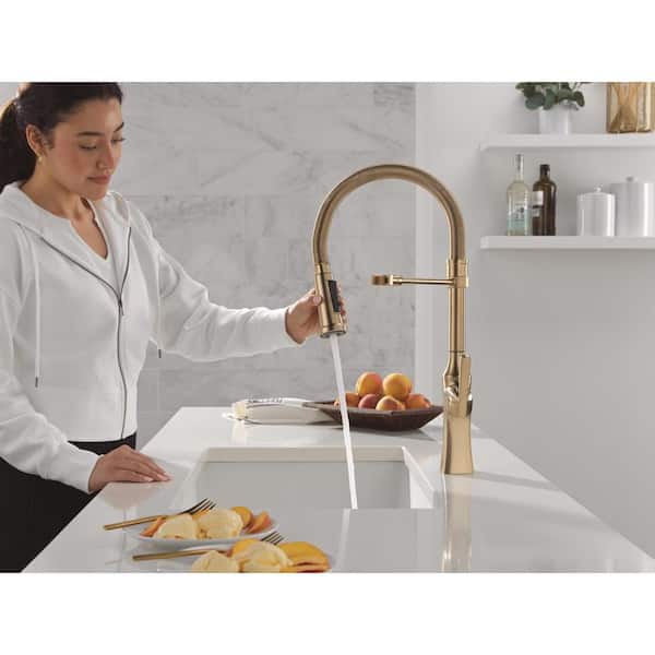 Ermelo Pro Gold Single Handle Pull Down Sprayer Kitchen Faucet with Spring Spout in Champagne Bronze