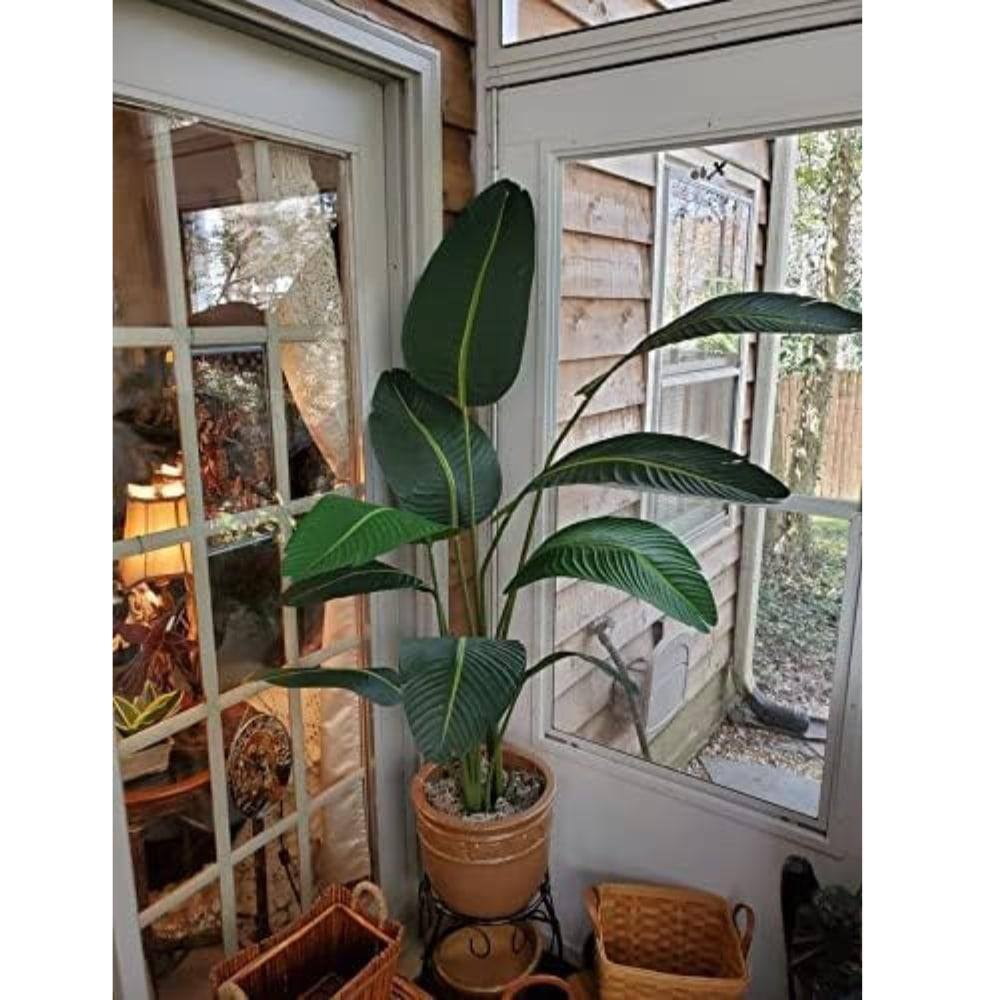 60 in Green Silk Bird of Paradise Floor Plant in Black Pot