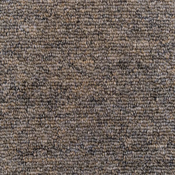 TrafficMaster 8 in. x  8 in. Loop Carpet Sample - Ramble On -Color Maverick