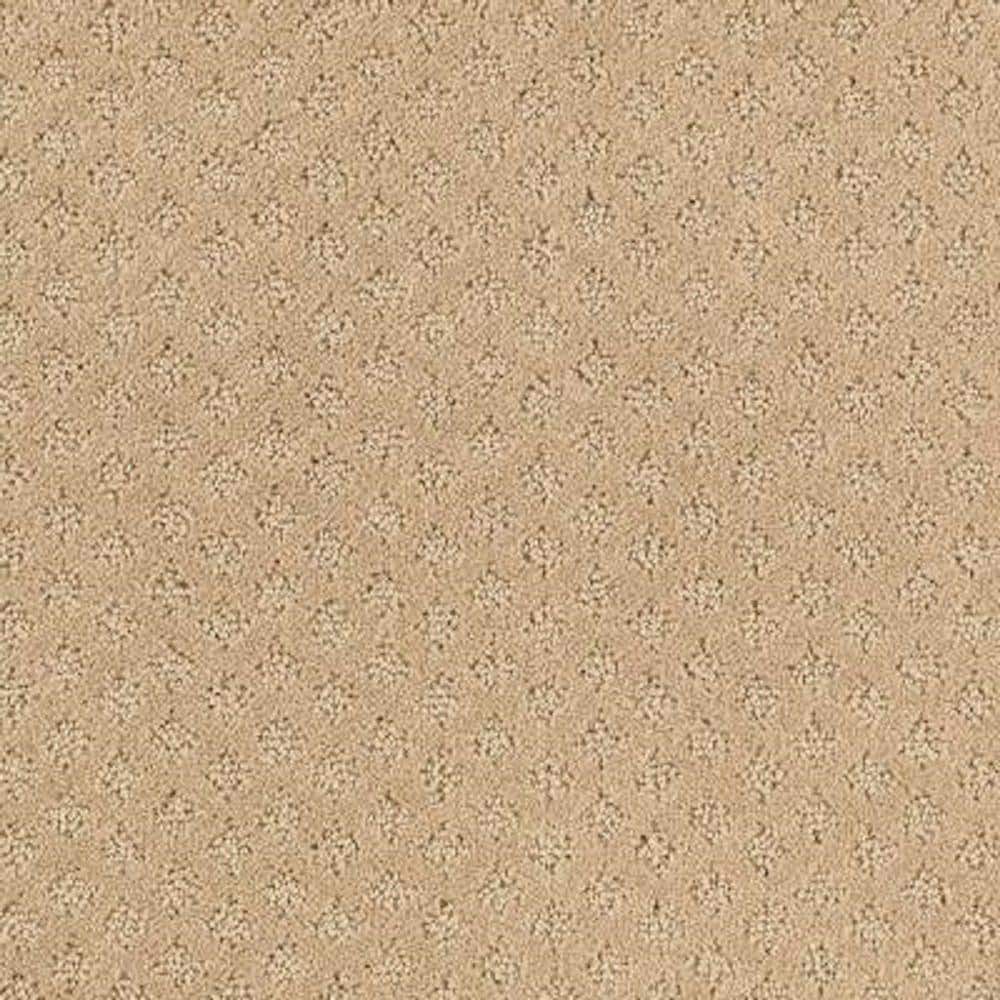 8 in. x 8 in. Pattern Carpet Sample - Lilypad -Color Wild Honey price history on PriceWatchPro