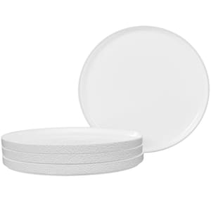 Colortex Stone White 9.75 in. Porcelain Dinner Plates, (Set of 4)