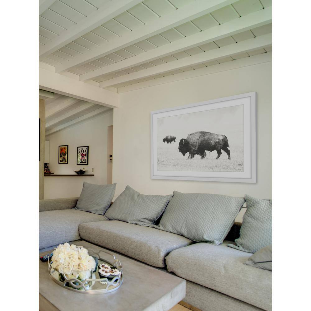 Buffalo Pair Black and White Framed Canvas Print, 16" x 24"
