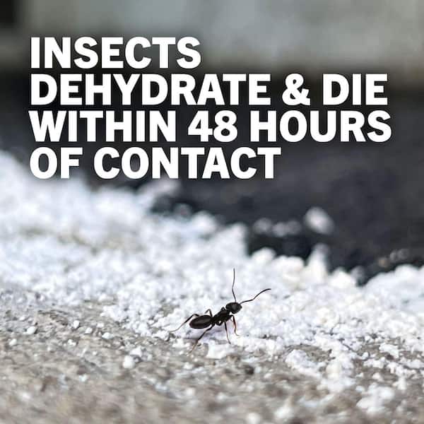 Safer Brand - 4 lbs. Diatomaceous Earth - Bed Bug, Flea, Ant, Crawling Insect Killer for Indoor and Outdoor