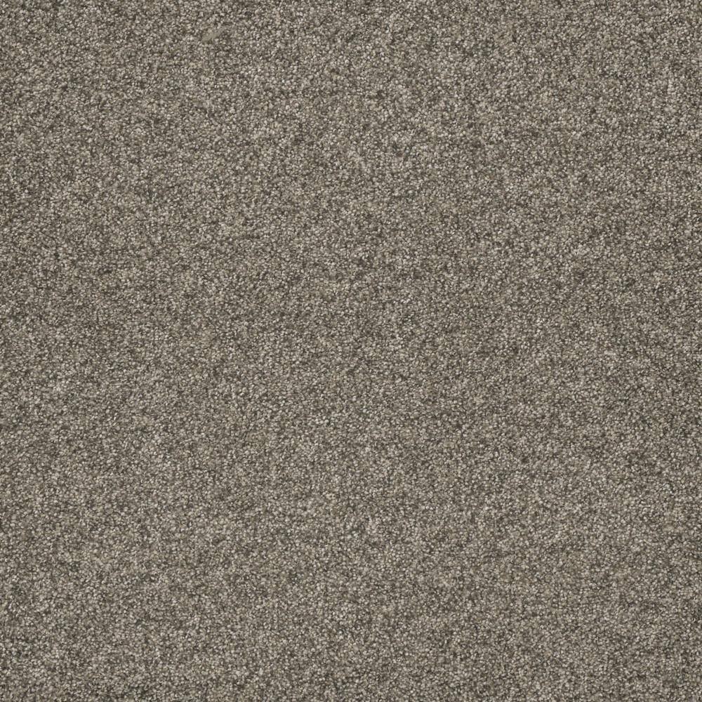 8 in. x  8 in. Texture Carpet Sample - Bradmore I -Color Reveal price history on PriceWatchPro