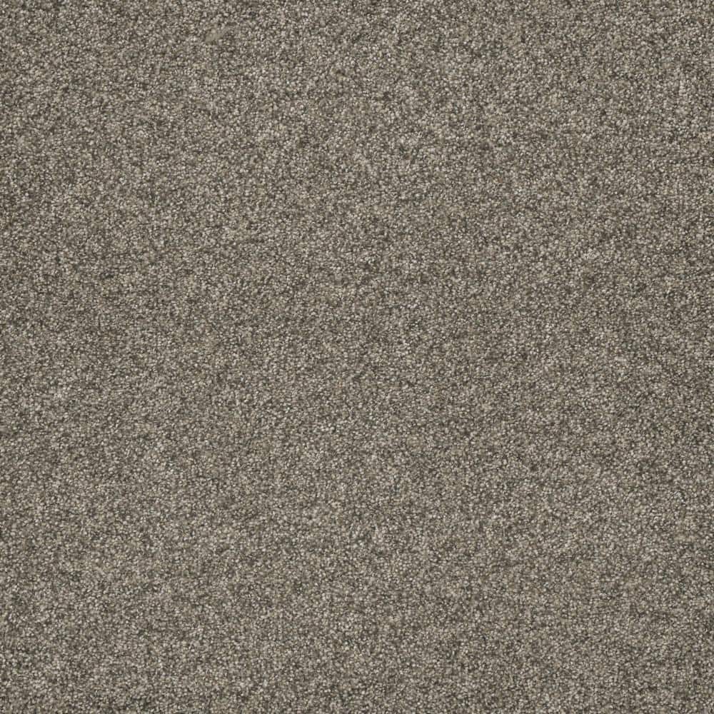 8 in. x  8 in. Texture Carpet Sample - Bradmore II -Color Reveal price history on PriceWatchPro