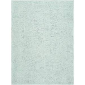 Quebec Seafoam FILL IN LATER 2 ft. x 4 ft. Machine-Washable Indoor Area Rug