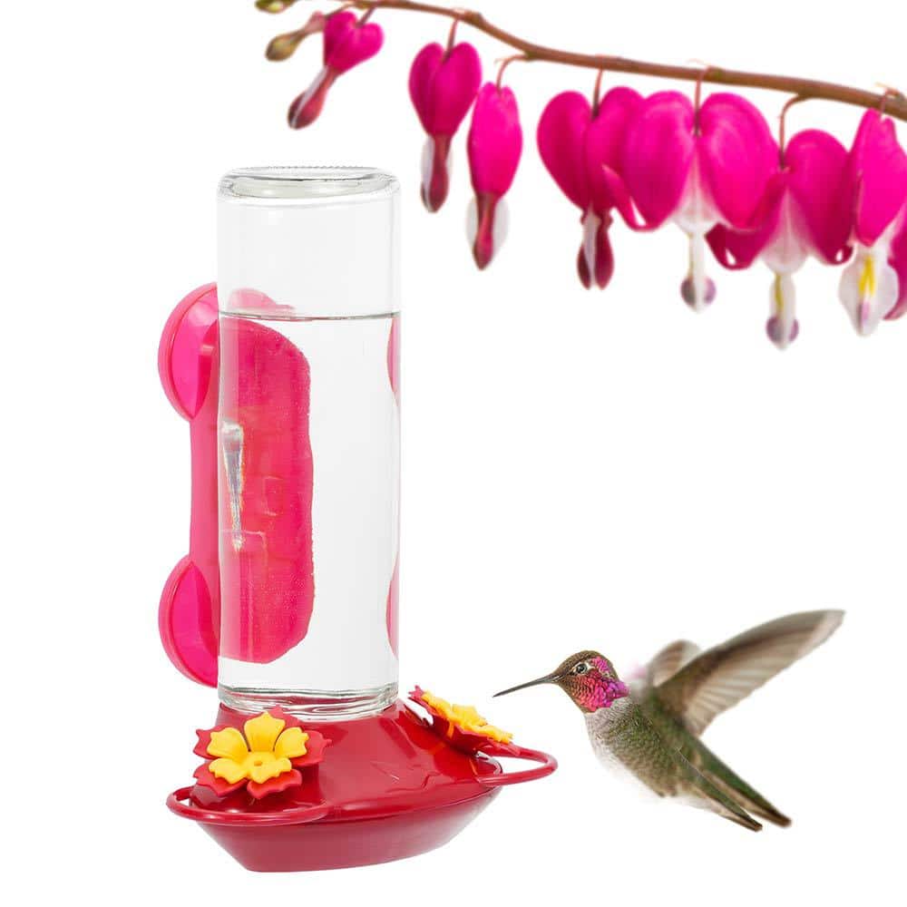 Perky-Pet Window Mount Glass Hummingbird Feeder - 14 oz. Capacity 455-2 - The Home Depot