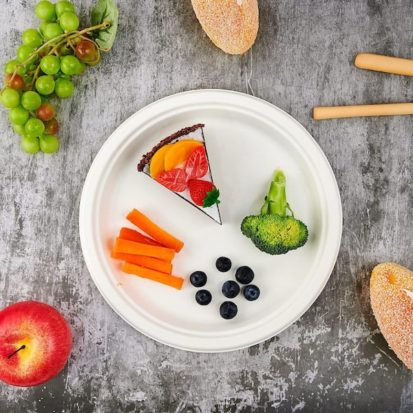 150-Piece 10.25 in. White Super Strong Eco-Friendly Bagasse Natural Biodegradable Compostable Disposable Paper Plates