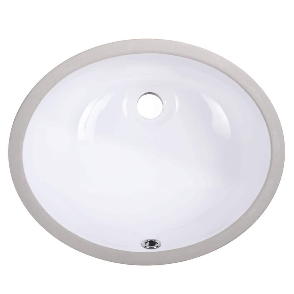 Aquatica 19 in. x 16 in. Oval Vitreous China Undermount Ceramic Bathroom Sink in White with Overflow Drain price history on PriceWatchPro