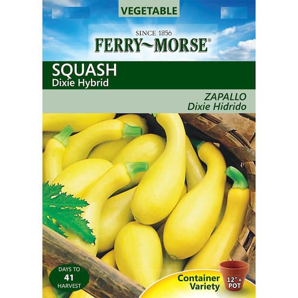 Ferry-Morse Squash Dixie Hybrid Seed