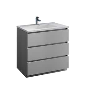 Lazzaro 36 in. Modern Bathroom Vanity in Gray with Vanity Top in White with White Basin