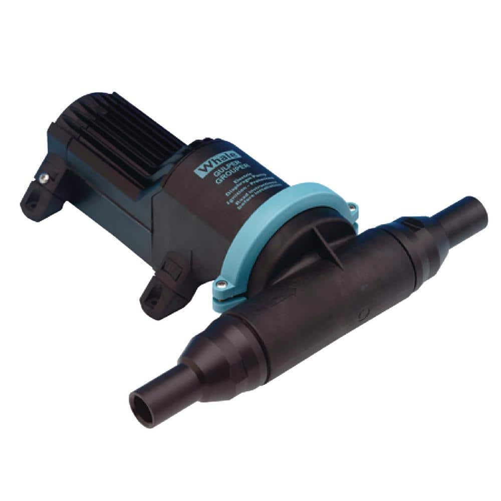 Gulper Grouper 6.5 GPM 24V 3.5A Evacuation Pump with 1 in. Hose