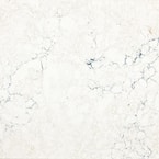 6 in. x 10 in. Quartz Countertop Sample in Travella