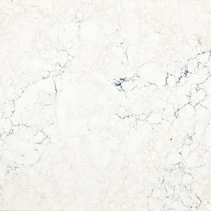 6 in. x 10 in. Quartz Countertop Sample in Travella