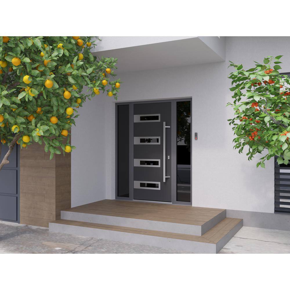 Modern Black Enamel Steel Front Door with Glass Inserts