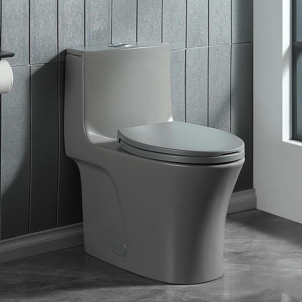 Light Gray Elongated Dual Flush One-Piece Toilet with Soft Closing Seat