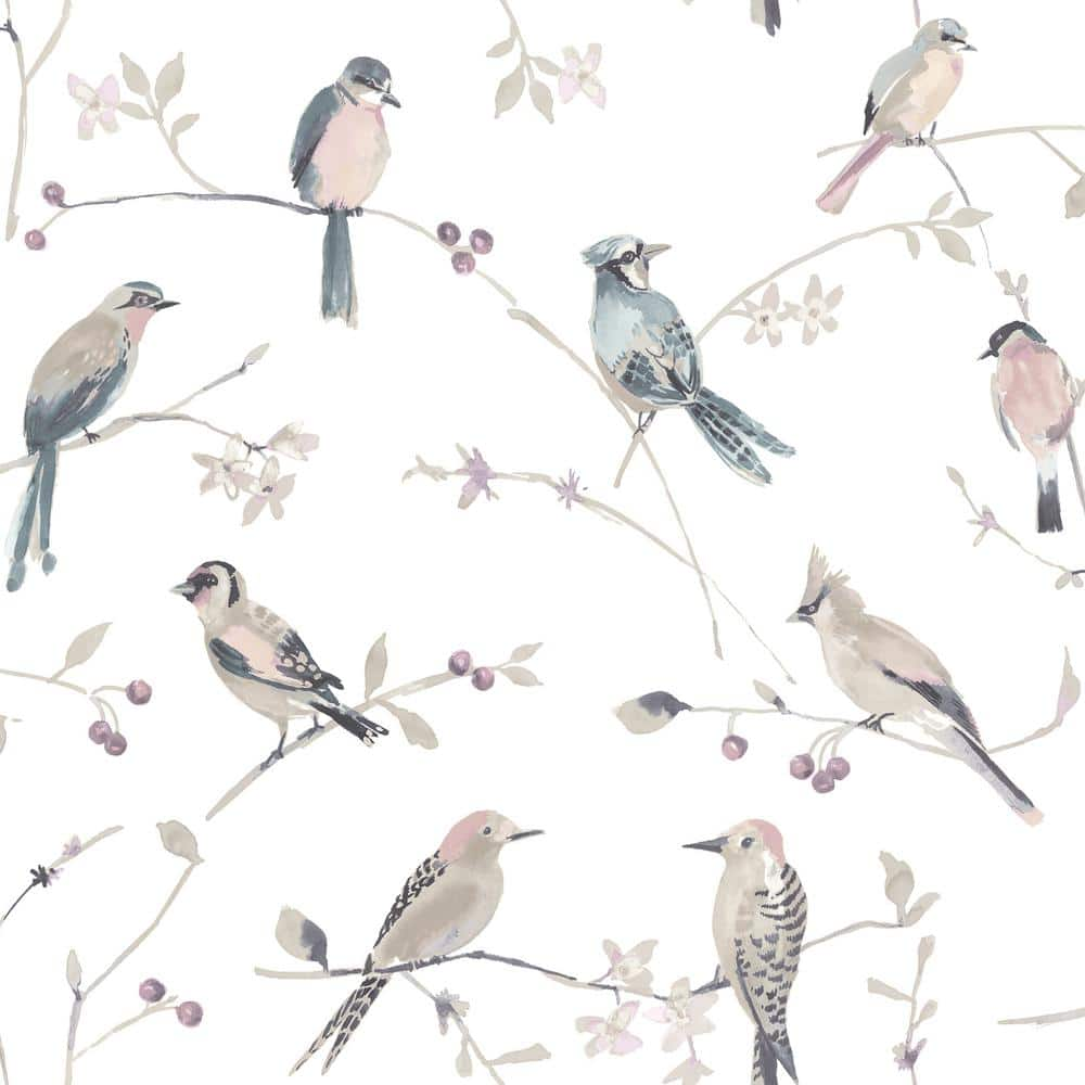 Pink Paper Pre-Pasted Matte Birdsong Mauve Trail Strippable Wallpaper -  Chesapeake, 3124-13854