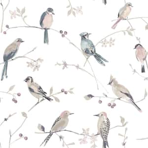 Pink Paper Pre-Pasted Matte Birdsong Mauve Trail Strippable Wallpaper