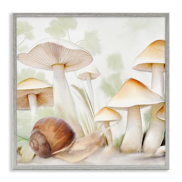 Stupell Industries Snail Among Mushrooms by Kim Allen Gray Framed Nature Giclee Art Print 24 in. x 24 in.