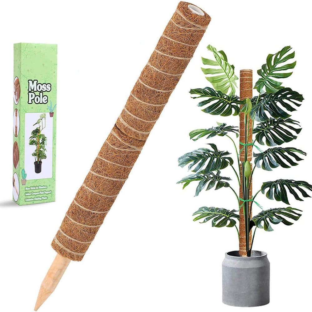 12 in. Moss Rods for Monstera Climbing Plant Support Extended Coir Moss Rod