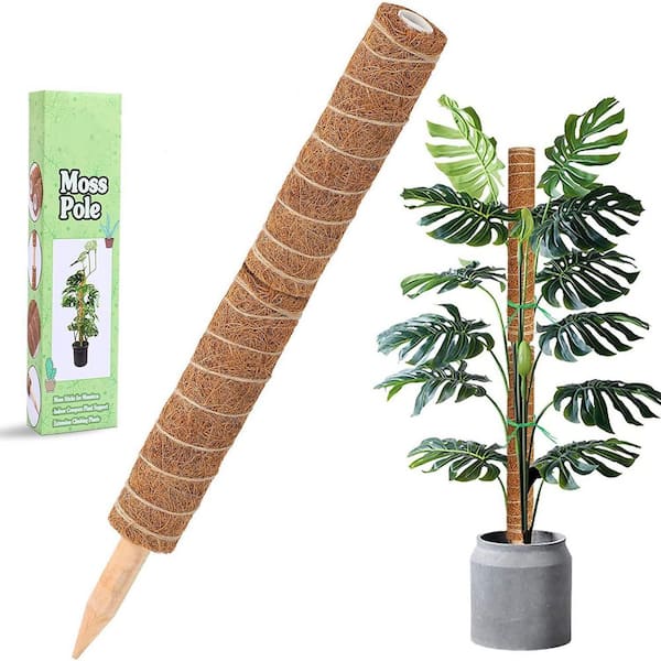 Moss Pole Climbing Plants Plant Support for Climbing Indoor Potted Plant  Stackable PVC Plant Support Stakes