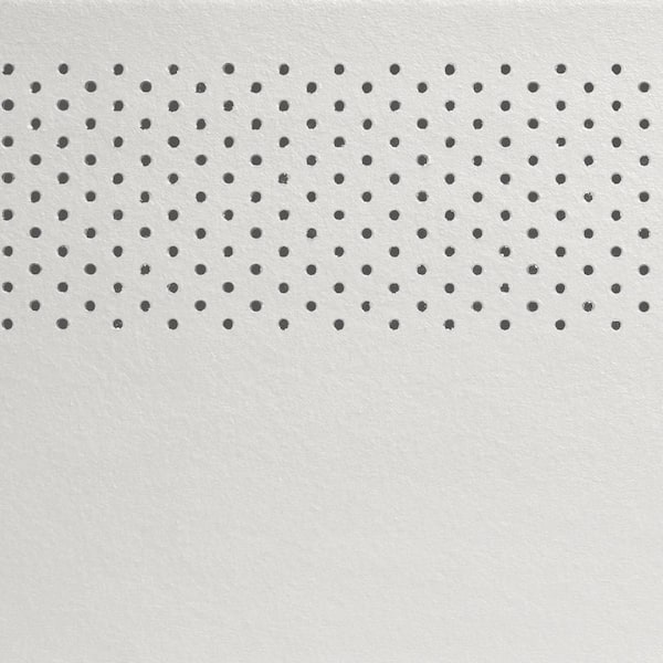 James Hardie Magnolia Home Hardie Soffit HZ10 16 in. x 144 in. Birch Tree Fiber Cement Vented Smooth Soffit