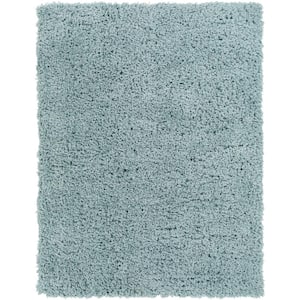 Marne Ice Blue 2 ft. x 4 ft. Indoor Area Rug