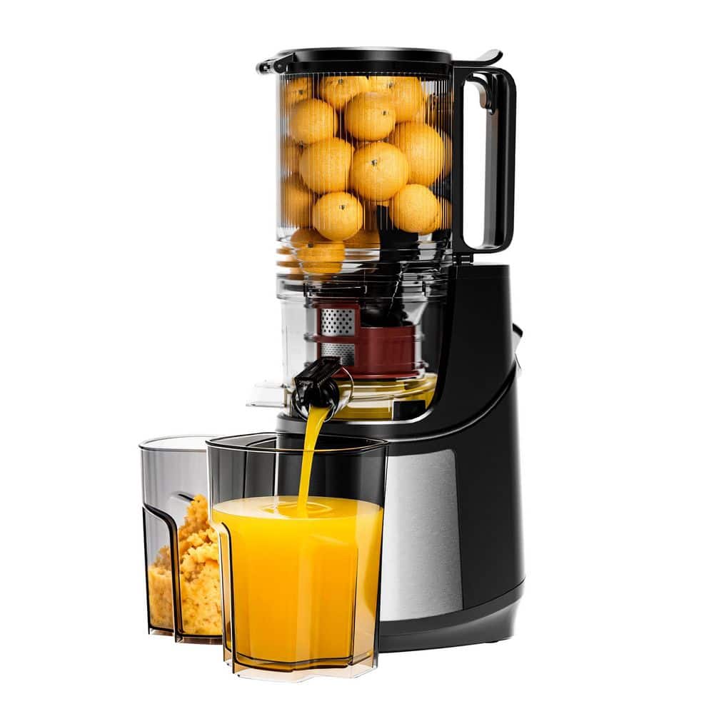 120V Slow Masticating Juicer with 5. 12in Extra-Wide Chute for Whole Fruits and Vegetables, Easy to Clean in Silver price history on PriceWatchPro