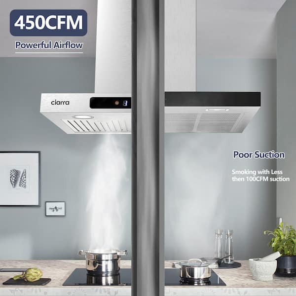 JEREMY CASS 24 450 CFM Vent Wall Mount Range Hood in Stainless