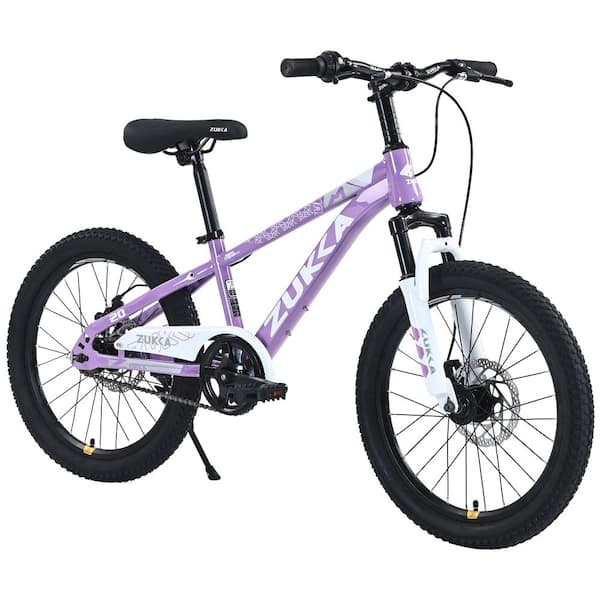 Flynama ZUKKA 20 Inch Mountain Bike for Kids Age 7-10, Multiple