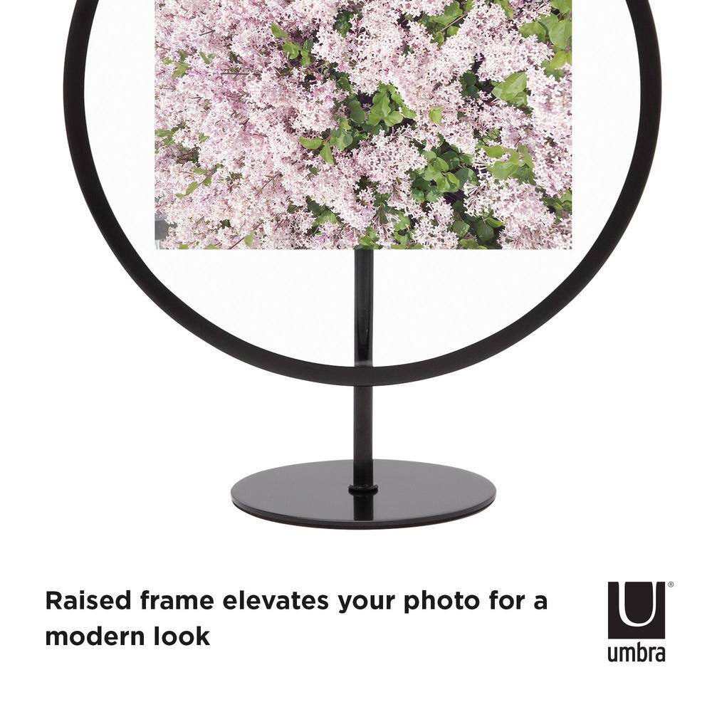 Black Iron 4x6 Floating Tabletop and Wall Picture Frame