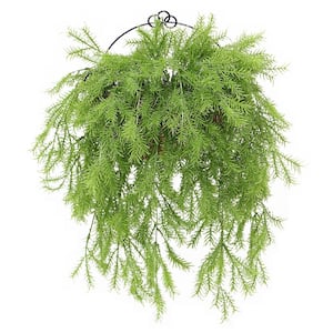 20 in. Pine Branch Wall Basket