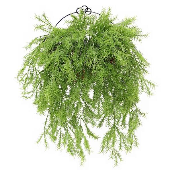 National Tree Company 20 in. Pine Branch Wall Basket