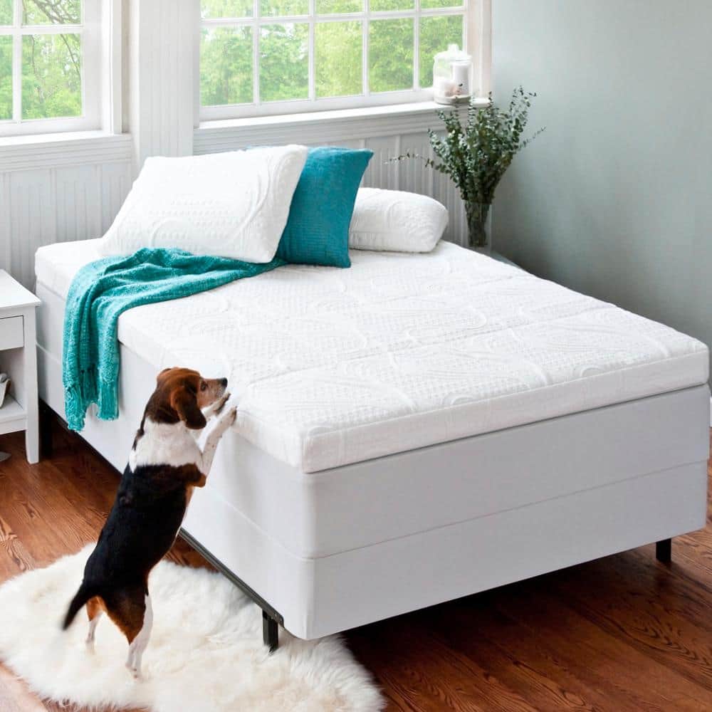 Zinus Green Tea 4 in. Medium No Pocket Polyester Short Queen Mattress