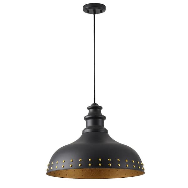 Farmhouse 19.69 in. 1-Light Black Pendant Light Industrial Vintage Adjustable Hanging Ceiling Light Fixture