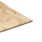 Pressure-Treated Plywood Rated Sheathing (Common: 23/32 in. x 4 ft. x 8  ft.; Actual: .703 in. x 48 in. x 96 in.) 261688 - The Home Depot