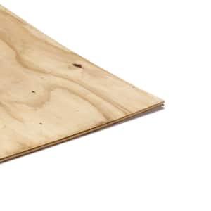 1/2 in. x 4 ft. x 8 ft. CDX Ground Contact Pressure-Treated Pine Plywood