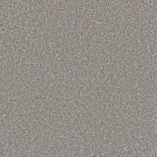 Gentle Glimmer II-Twinkle Beige-60 oz. SD Polyester Texture Carpet - Installation Required