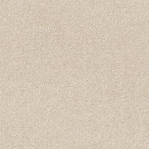 Home Decorators Collection Perfected I Color Polished Texture Beige Carpet H5155 0 10 The Home Depot