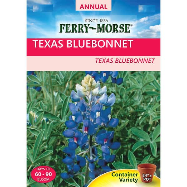 Ferry-Morse Texas Bluebonnet Seed