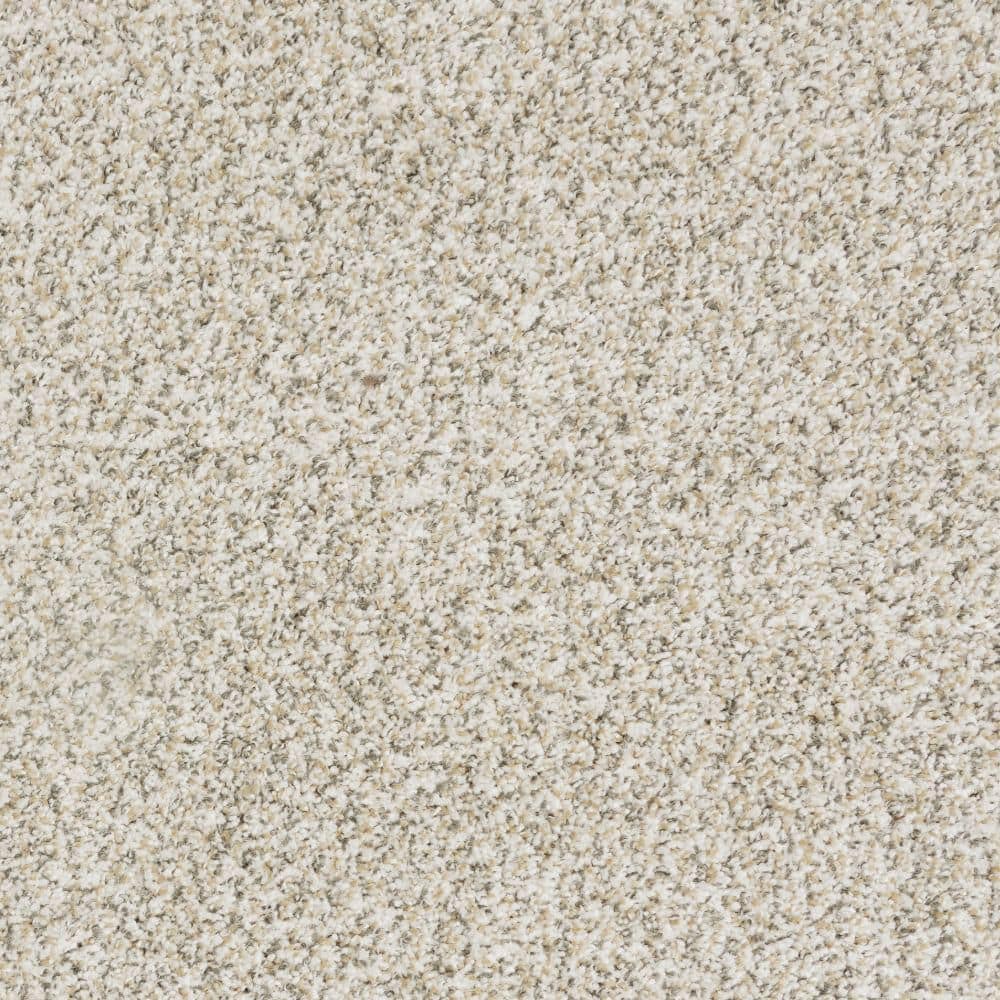 8 in. x 8 in. Texture Carpet Sample-Bolter I-Color Bolt Flare price history on PriceWatchPro